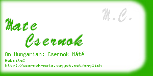 mate csernok business card